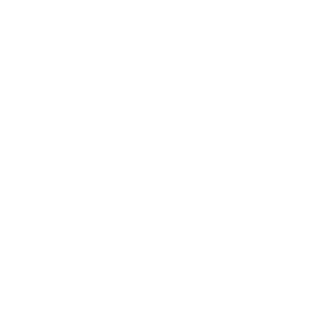 Selected video model